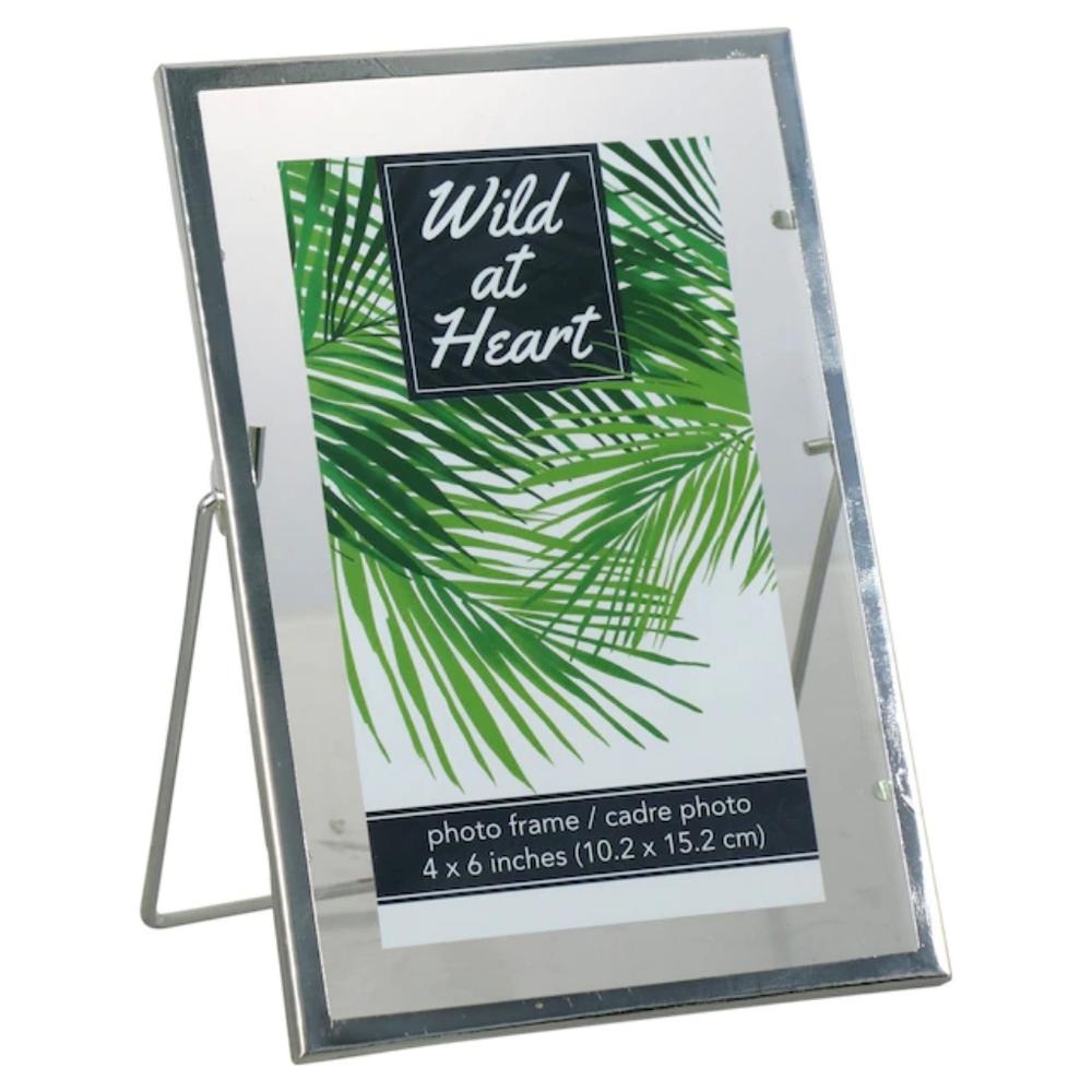 Silver Floating Picture Frames (set of 4)
